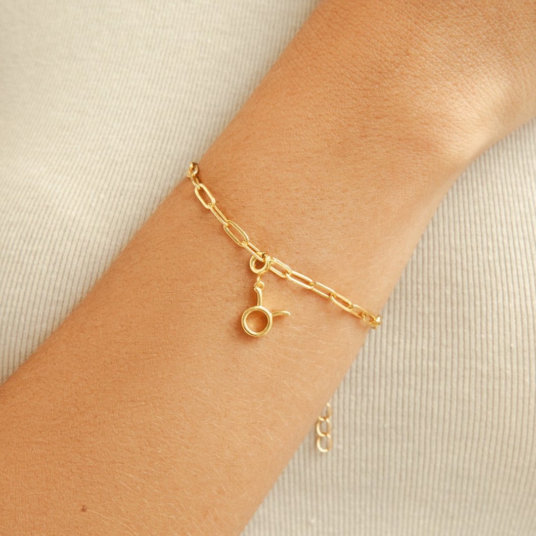 Zodiac Charm - Beautiful Earth Boutique